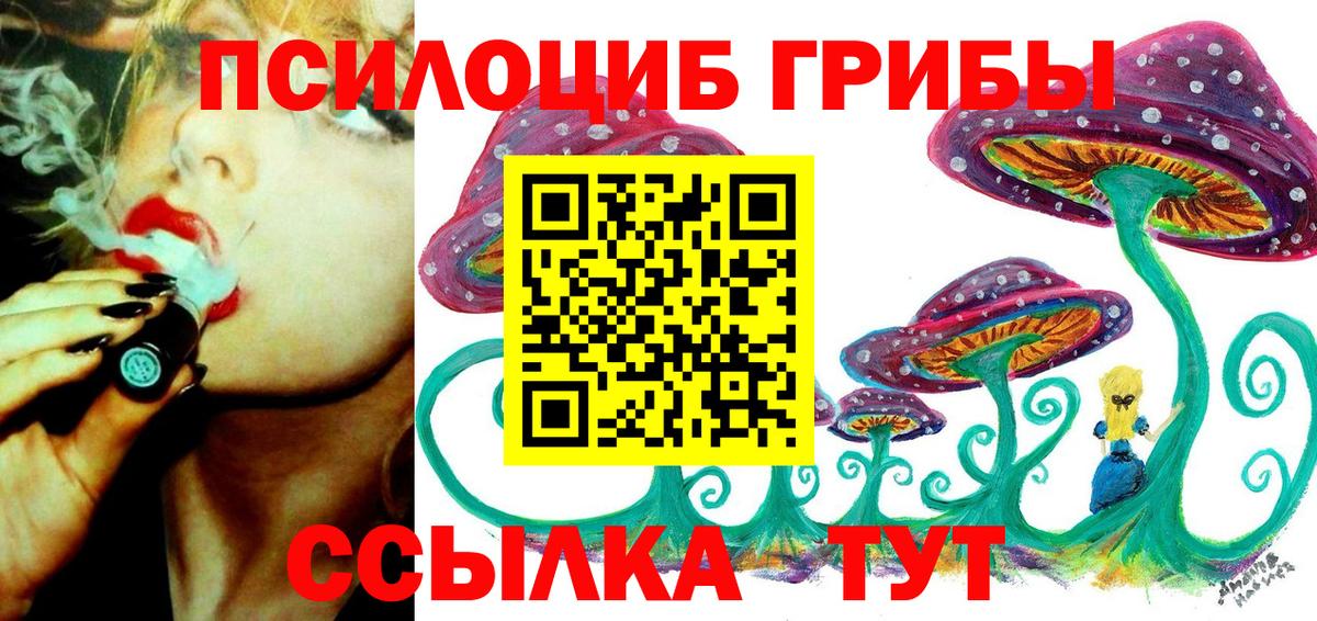 Псилоцибиновые грибы мухоморы Абакан