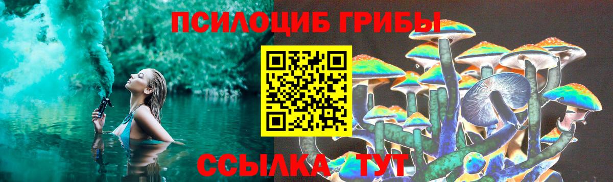 Абакан  Галлюциногенные грибы Psilocybe  Галлюциногенные грибы Psilocybine cubensis  Вход с VPN 